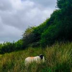 Digital entschleunigen: Warum dein Gehirn echte Pausen braucht