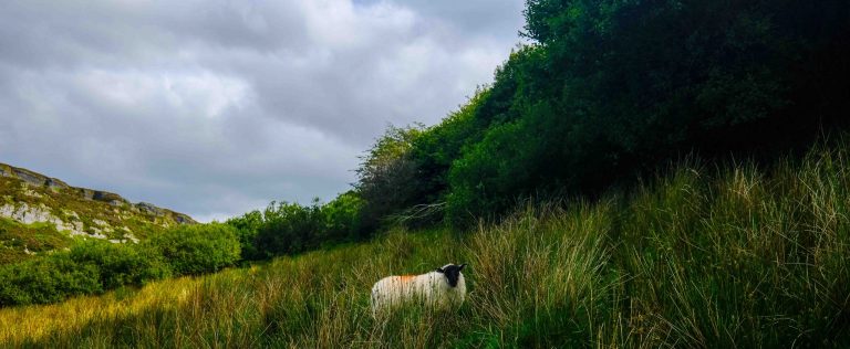 Digital entschleunigen: Warum dein Gehirn echte Pausen braucht