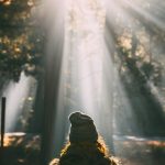 Die besten Tipps für eine digitale Entgiftung